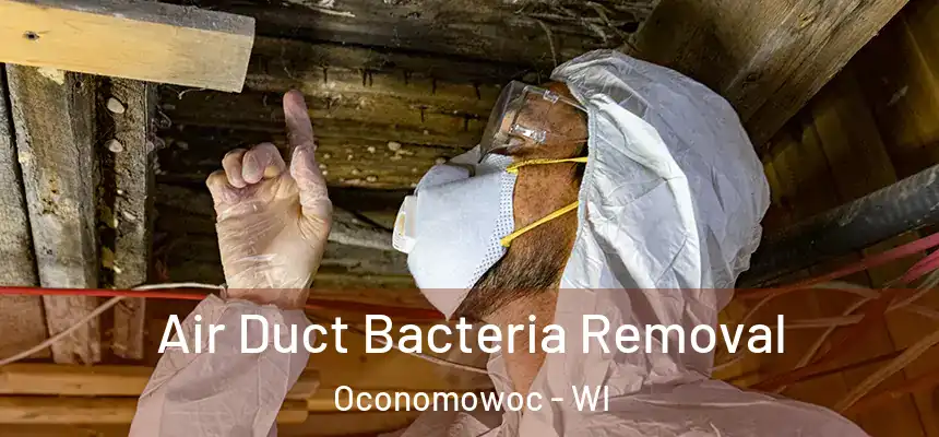  Air Duct Bacteria Removal Oconomowoc - WI