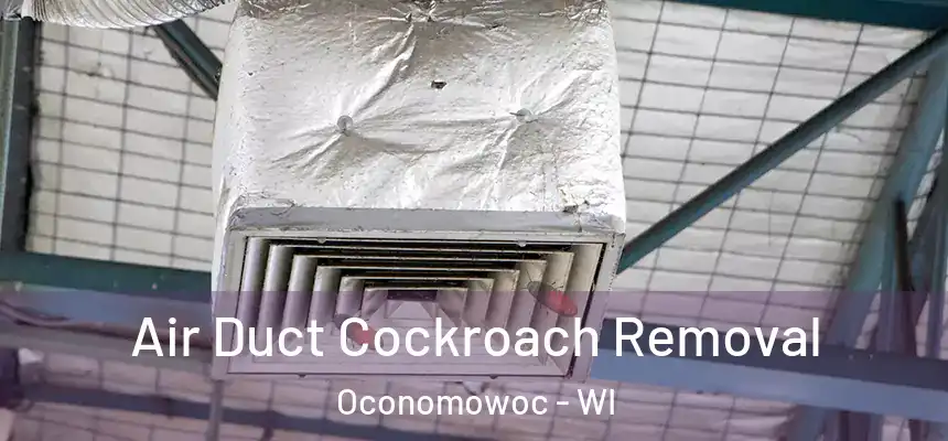  Air Duct Cockroach Removal Oconomowoc - WI
