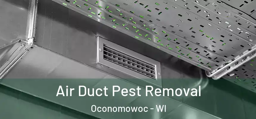  Air Duct Pest Removal Oconomowoc - WI