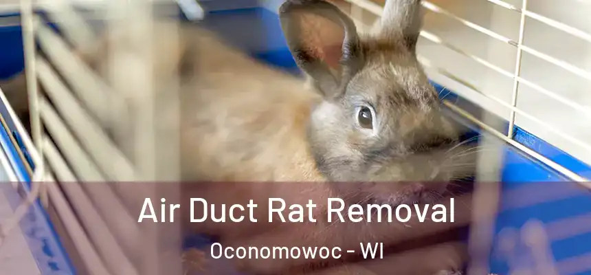  Air Duct Rat Removal Oconomowoc - WI