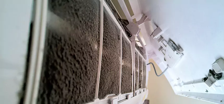 Preventive Air Duct Bacteria Removal in Oconomowoc