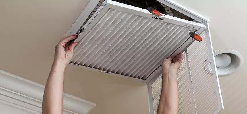 Preventive Cockroach-Proofing for Ducts in Oconomowoc