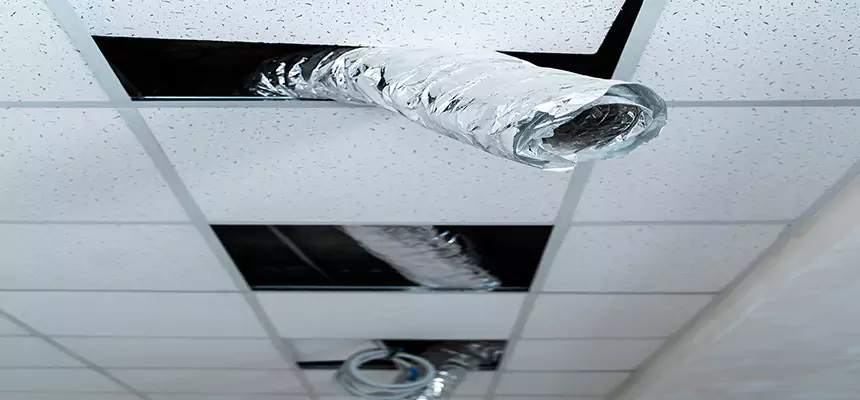 Our Air Duct Pet Hair Removal Services in Oconomowoc, WI