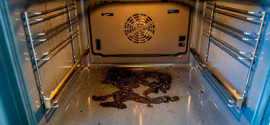 Our Dryer Vent Mold Cleaning Services in Oconomowoc, WI