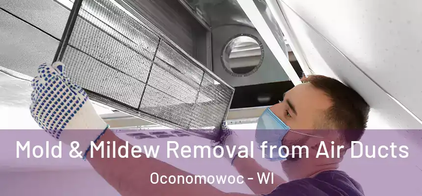  Mold & Mildew Removal from Air Ducts Oconomowoc - WI