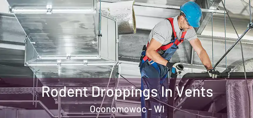  Rodent Droppings In Vents Oconomowoc - WI