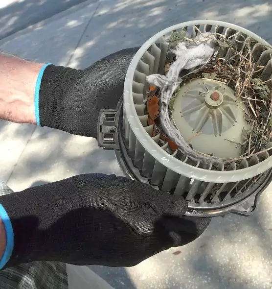 About Air Duct Mice Removal in Oconomowoc, WI