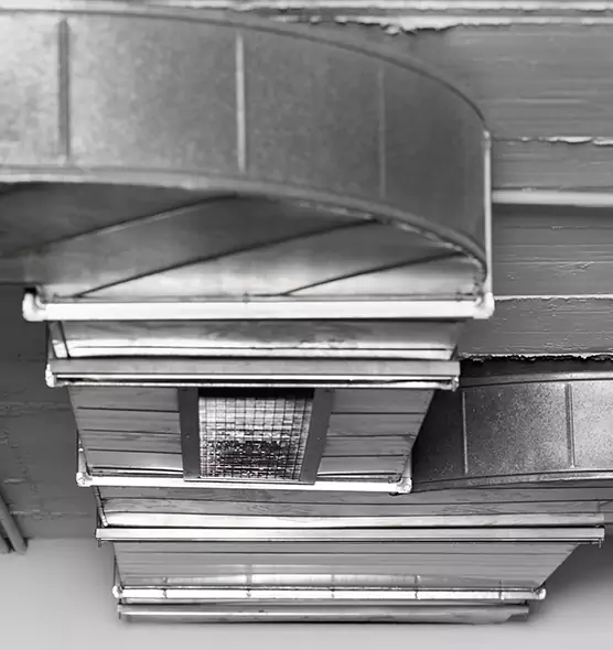 Professional Air Duct Pest Removal in Oconomowoc, WI