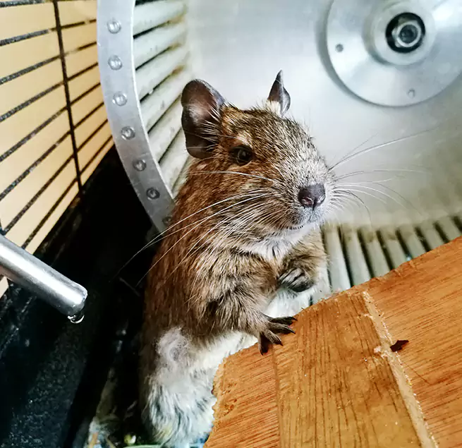 Why Homeowners & Businesses Trust Us Oconomowoc, WI